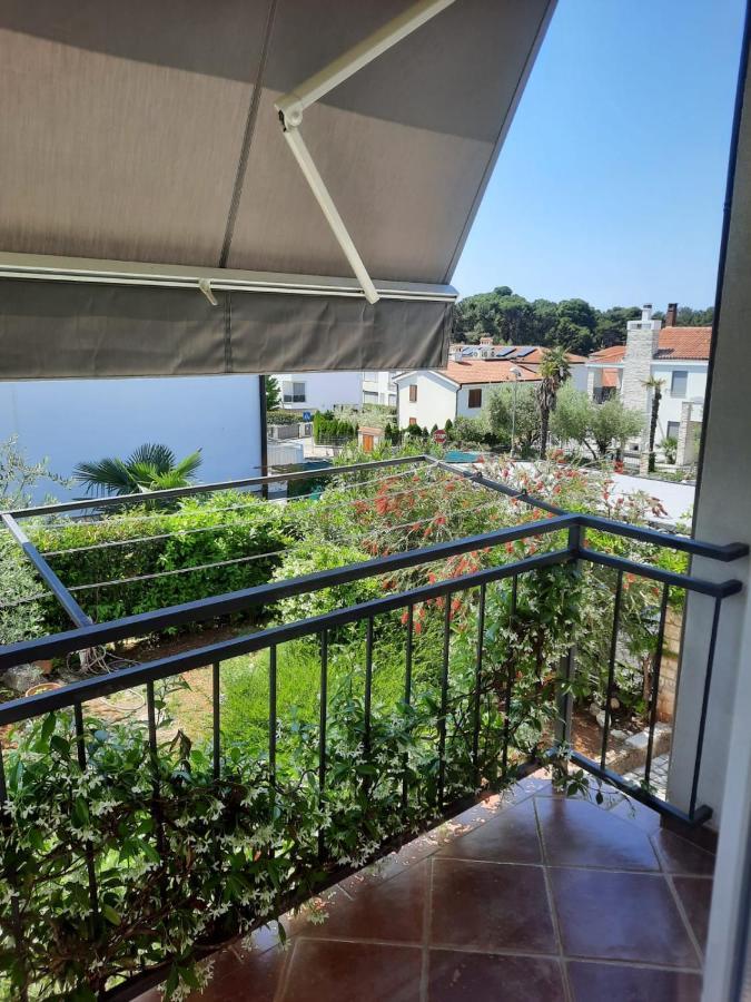 Apartment Premium Sunny